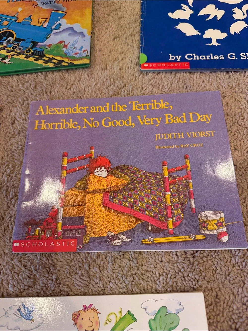 Picture Books Bundle